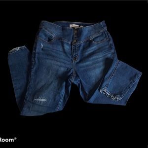 Lane Bryant distressed high rise jegging 16